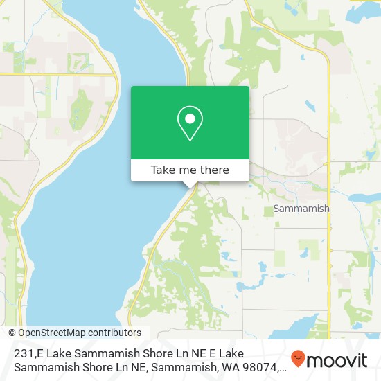 231,E Lake Sammamish Shore Ln NE E Lake Sammamish Shore Ln NE, Sammamish, WA 98074 map