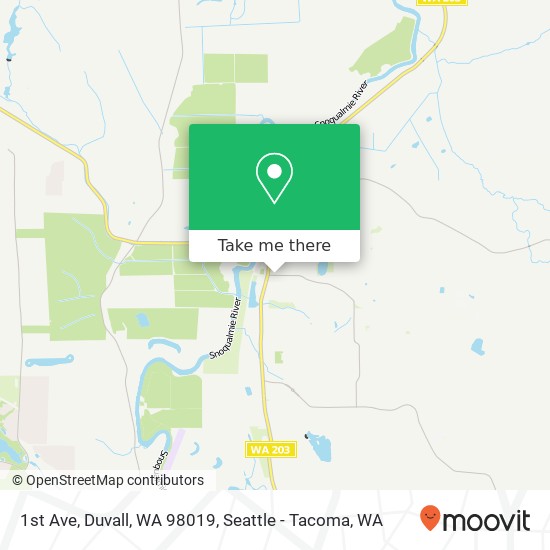 Mapa de 1st Ave, Duvall, WA 98019