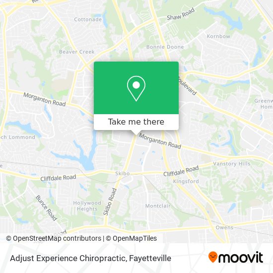 Adjust Experience Chiropractic map