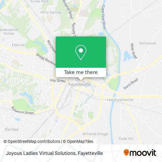 Joyous Ladies Virtual Solutions map