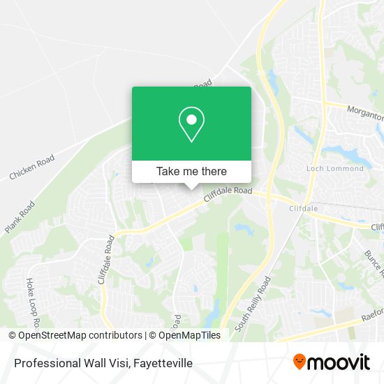 Mapa de Professional Wall Visi