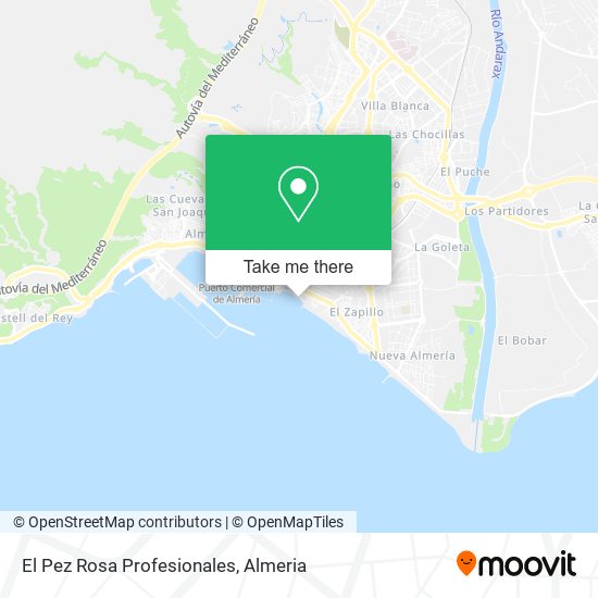 El Pez Rosa Profesionales map