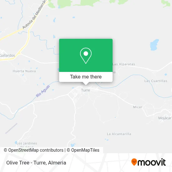 Olive Tree - Turre map
