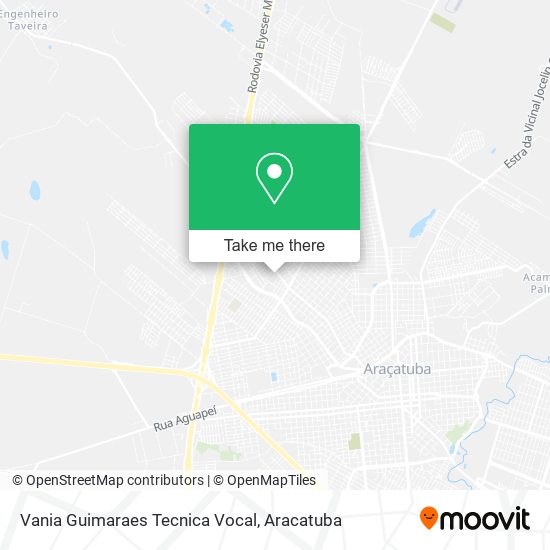 Mapa Vania Guimaraes Tecnica Vocal