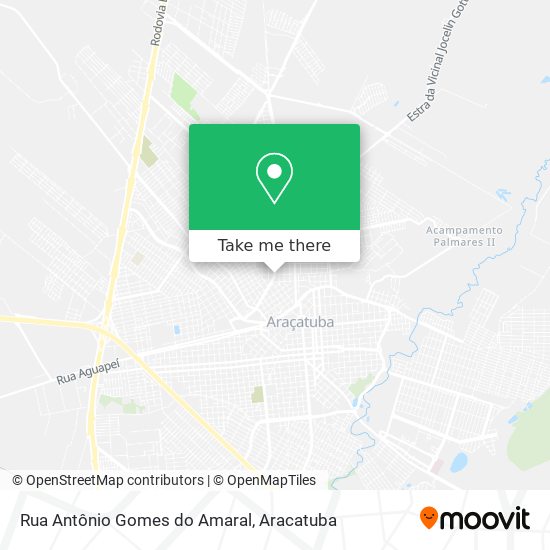 Rua Antônio Gomes do Amaral map