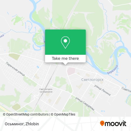 Осьминог map