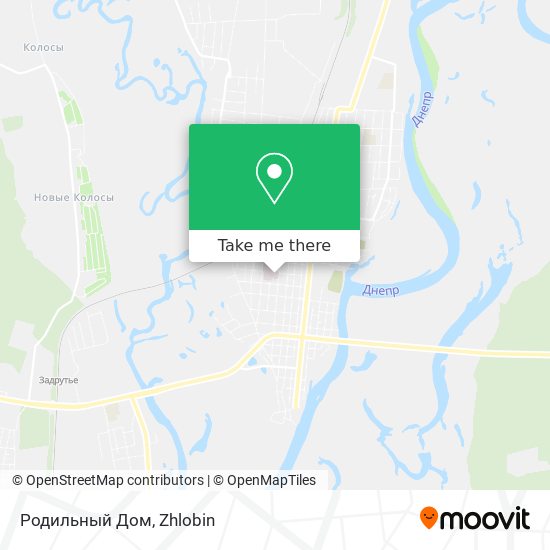 Родильный Дом map