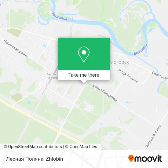 Лесная Поляна map