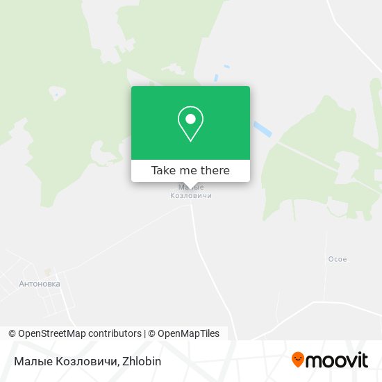 Малые Козловичи map