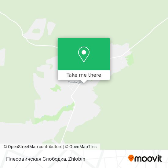 Плесовичская Слободка map