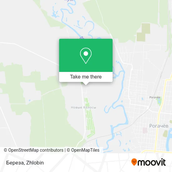 Береза map