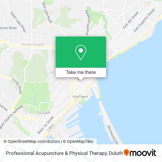 Mapa de Professional Acupuncture & Physical Therapy