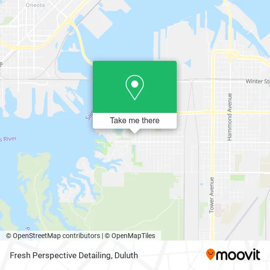 Fresh Perspective Detailing map