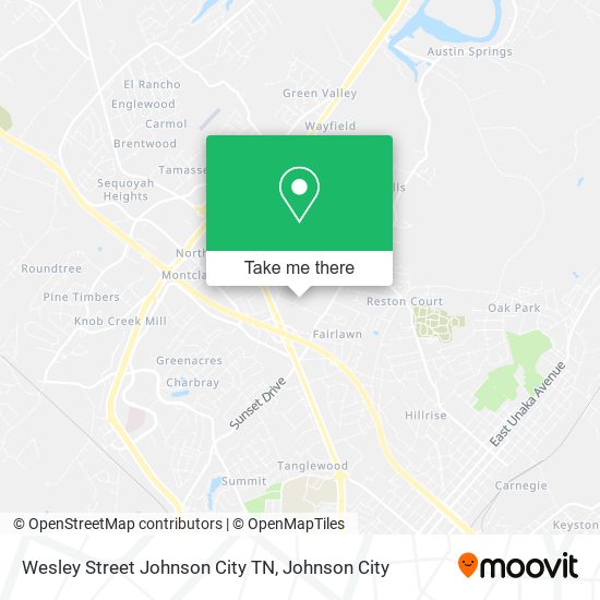 Wesley Street Johnson City TN map