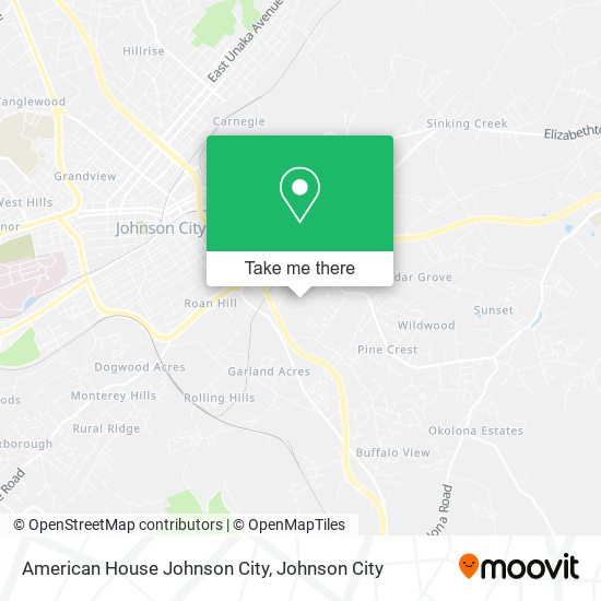 American House Johnson City map