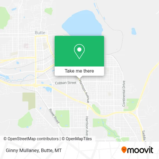 Ginny Mullaney map