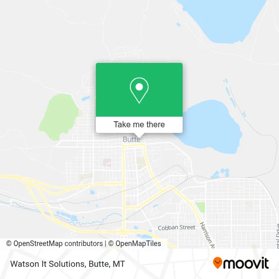 Watson It Solutions map
