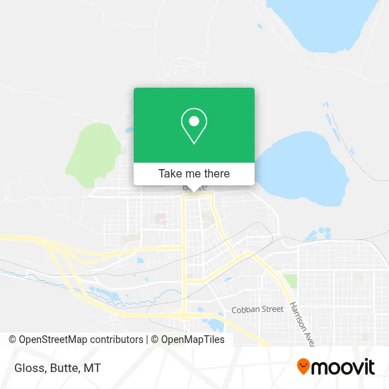 Gloss map
