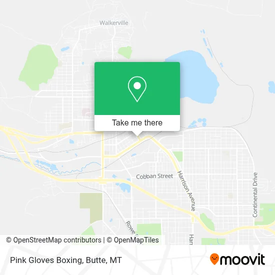 Pink Gloves Boxing map