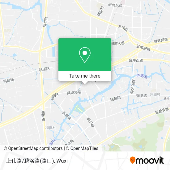上伟路/藕洛路(路口) map