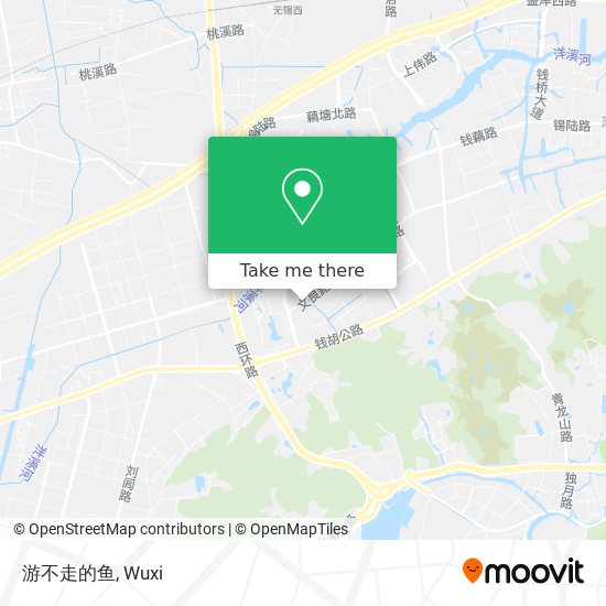 游不走的鱼 map