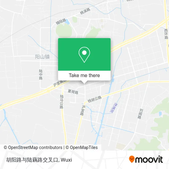 胡阳路与陆藕路交叉口 map