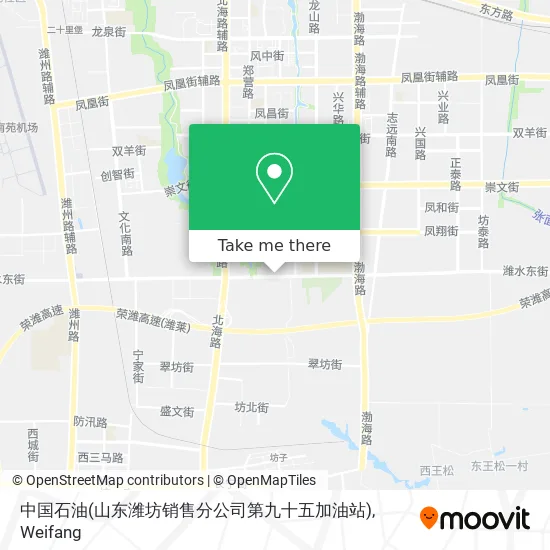 中国石油(山东潍坊销售分公司第九十五加油站) map