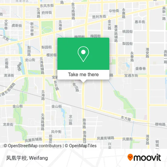 凤凰学校 map