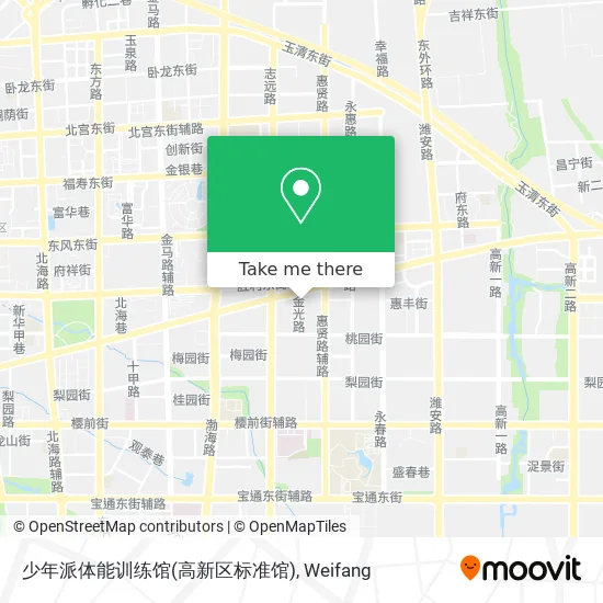 少年派体能训练馆(高新区标准馆) map