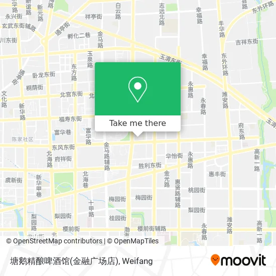 塘鹅精酿啤酒馆(金融广场店) map