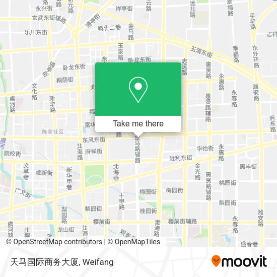 天马国际商务大厦 map