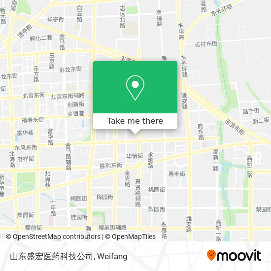 山东盛宏医药科技公司 map