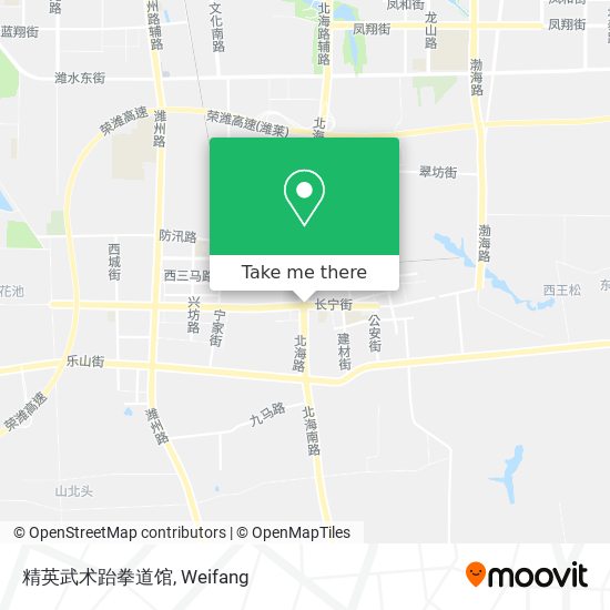 精英武术跆拳道馆 map