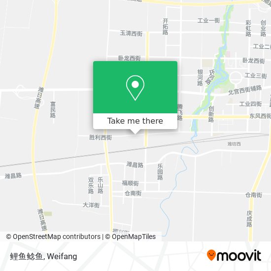 鲤鱼鲶鱼 map