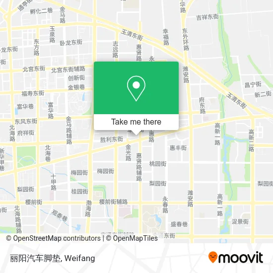 丽阳汽车脚垫 map