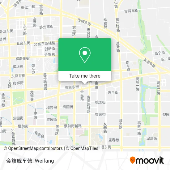 金旗舰车饰 map