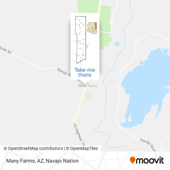 Many Farms, AZ map