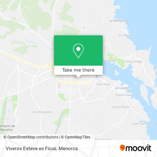 Viveros Esteve es Ficus map