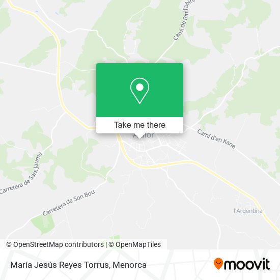 María Jesús Reyes Torrus map