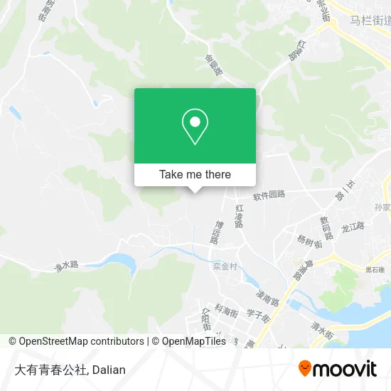 大有青春公社 map