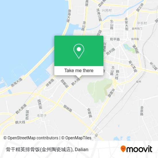 骨干精英排骨饭(金州陶瓷城店) map