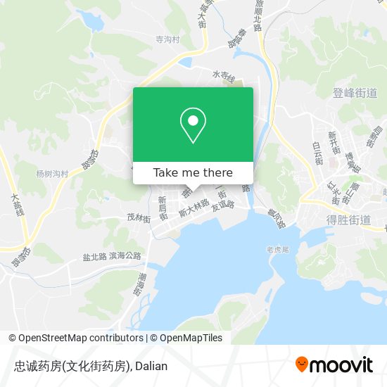 忠诚药房(文化街药房) map