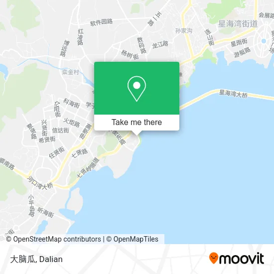 大脑瓜 map