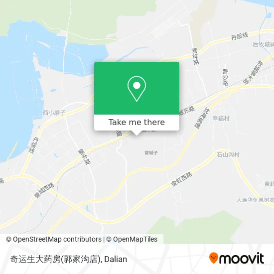 奇运生大药房(郭家沟店) map
