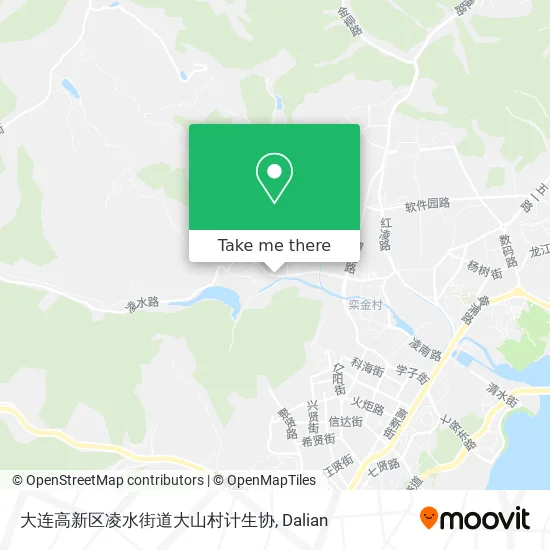 大连高新区凌水街道大山村计生协 map