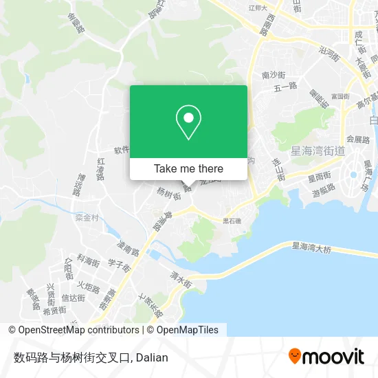 数码路与杨树街交叉口 map