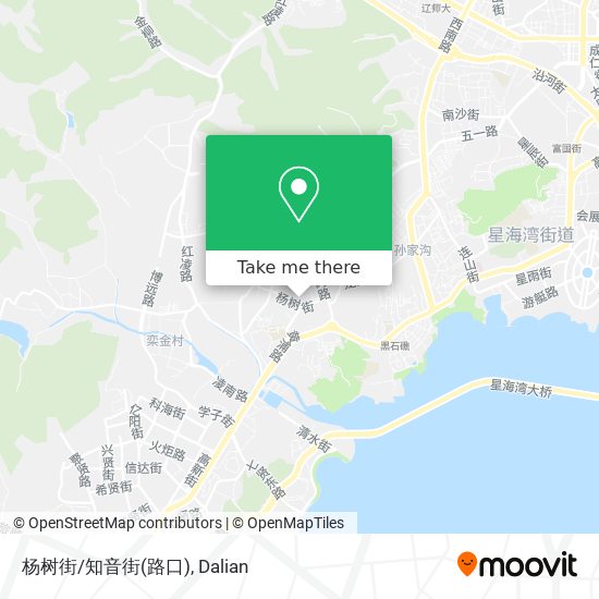 杨树街/知音街(路口) map