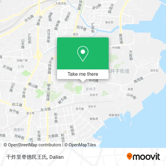 干炸里脊德民王氏 map