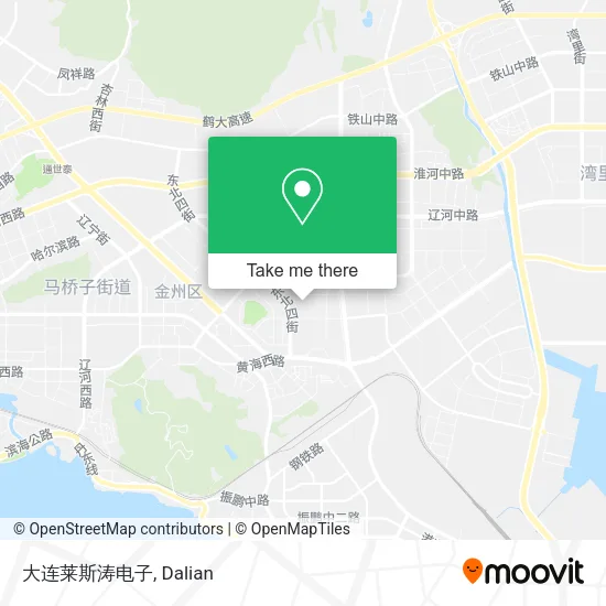 大连莱斯涛电子 map