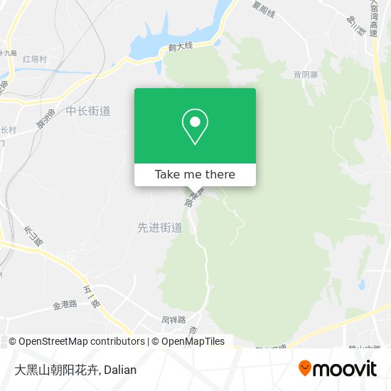 大黑山朝阳花卉 map